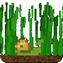 vscode-grass